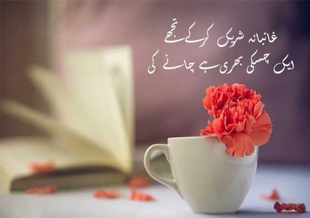 Poetry in Urdu Text