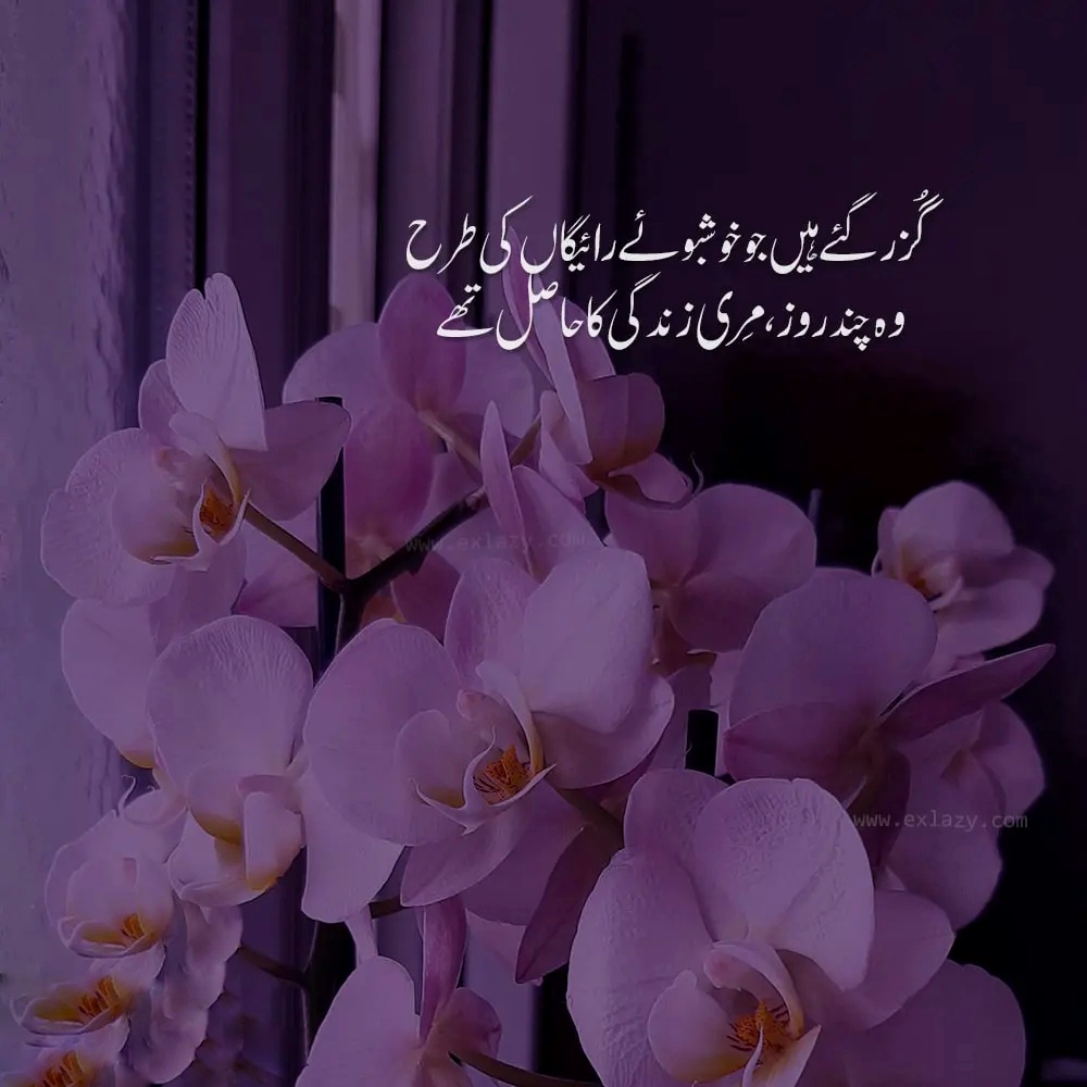 Mir Taqi Mir Poetry in Urdu