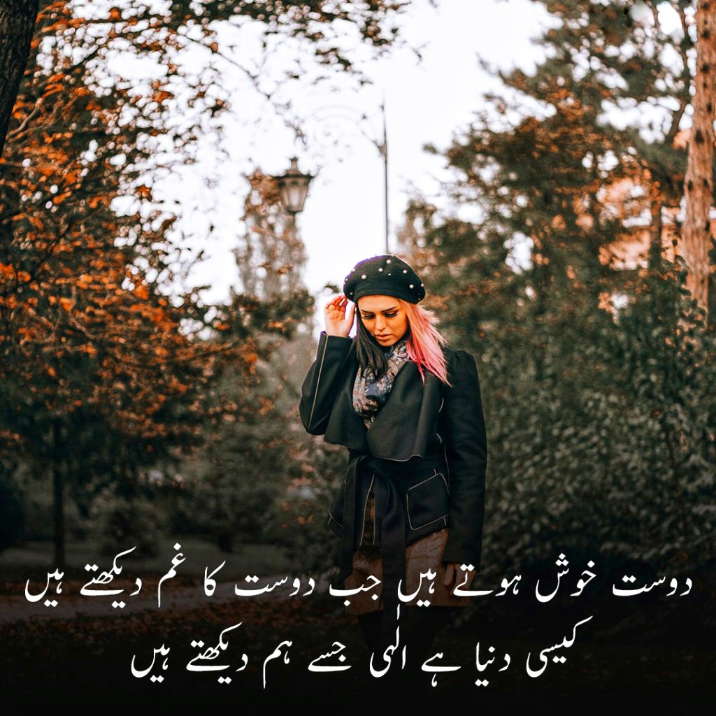 Best Friendship Poetry in Urdu