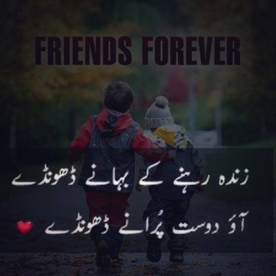 20 Friendship Poetry In Urdu