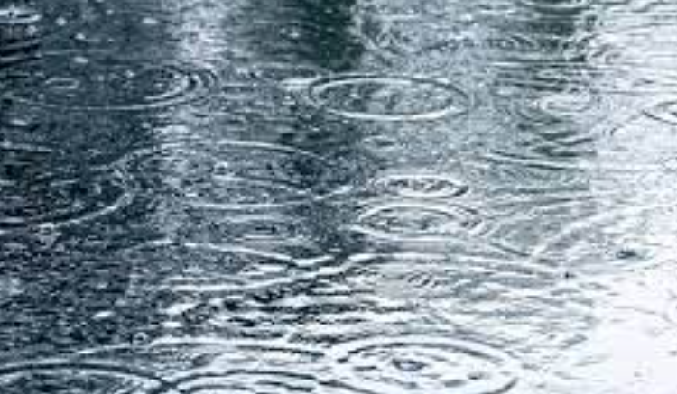 The Cultural and Mythological Significance of Rain in Chinese and Madagascan Traditions