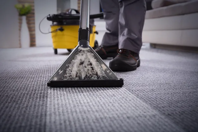Breathing Deep and Easy: A Comprehensive Guide to Clean Carpets, Healthy Ducts, and Optimal Indoor Air Quality in Lehi and Salt Lake City