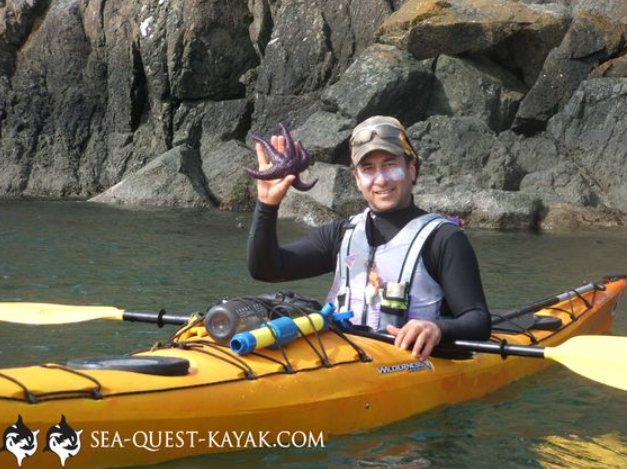 Kayaking in the Kelp Forests at San Juan Island With Sea Quest Kayak Tours
