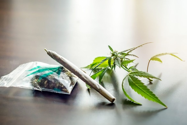 Discover the Best Online Dispensaries in Canada: Customer Favorites Revealed