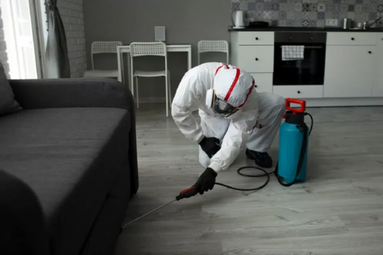 How to Prepare Your Fort Pierce Home for a Professional Pest Control Visit