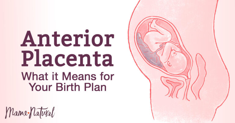 All You Must Know About Anterior Placenta