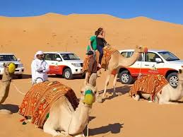 Top 7 Activities to Try During Your Desert Safari Dubai Adventure