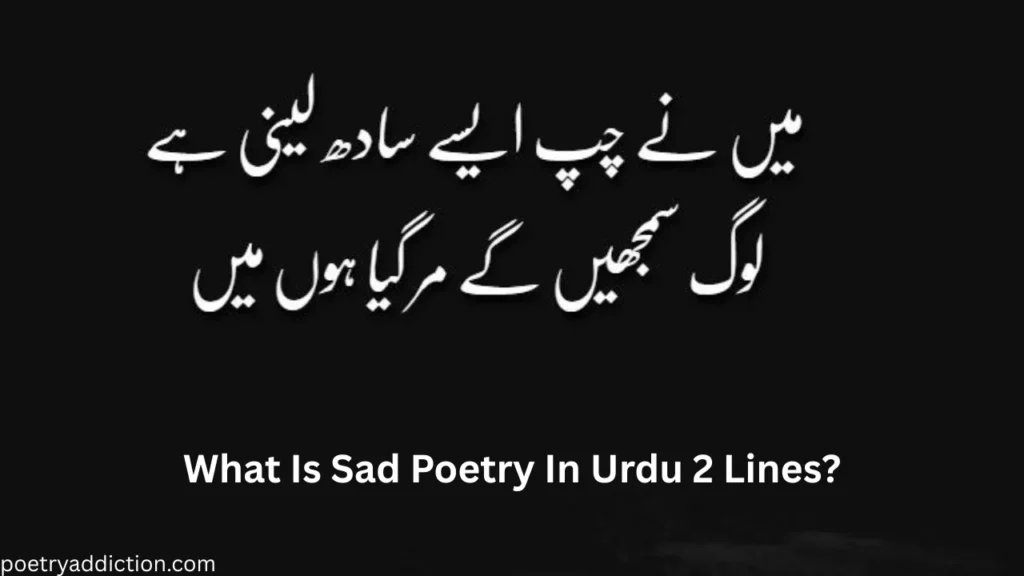 What Is Sad Poetry In Urdu 2 Lines