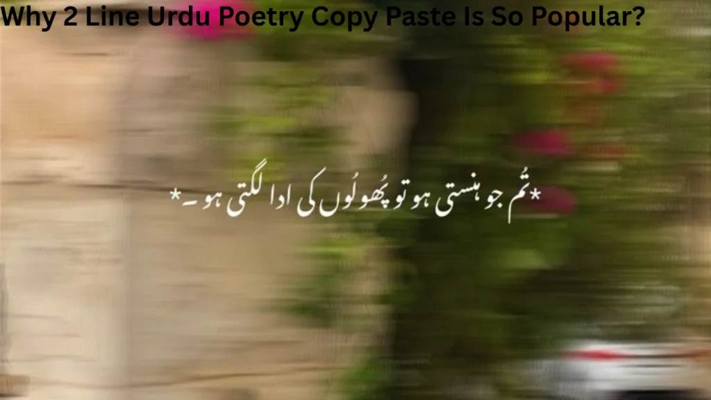 Why 2 Line Urdu Poetry Copy Paste Is So Popular
