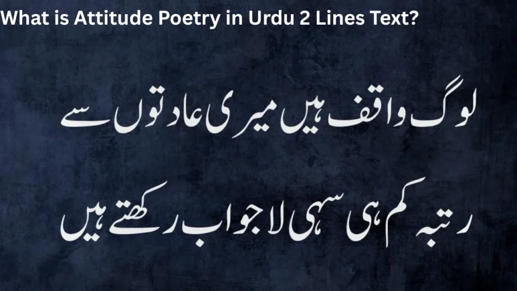 What is Attitude Poetry in Urdu 2 Lines Text