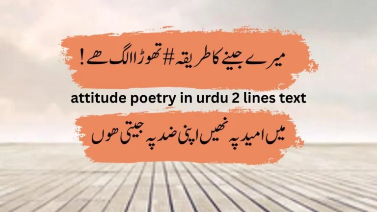 attitude poetry in urdu 2 lines text