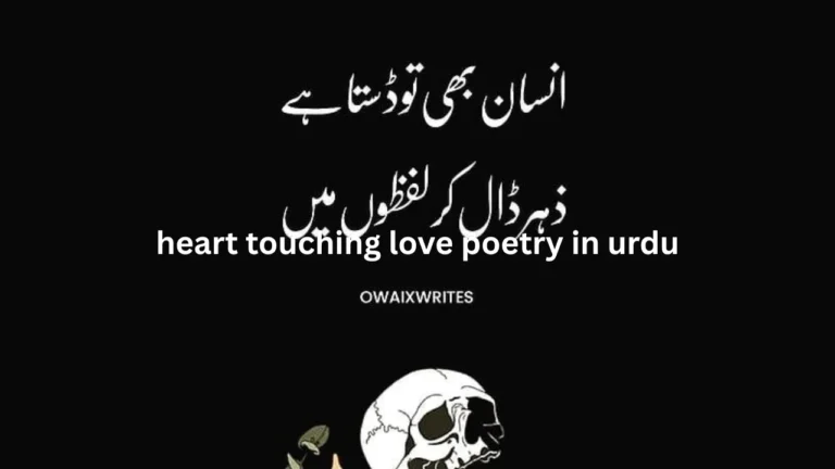 heart touching love poetry in urdu