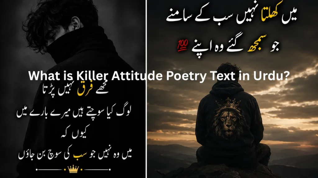 What is Killer Attitude Poetry Text in Urdu