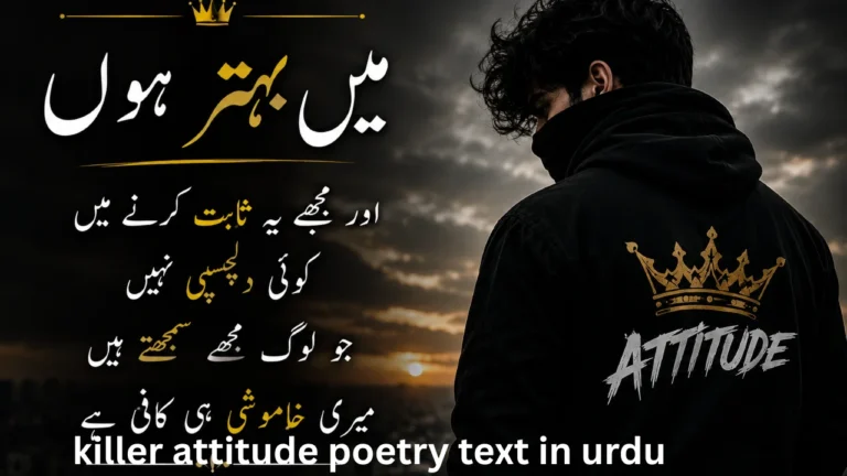 killer attitude poetry text in urdu