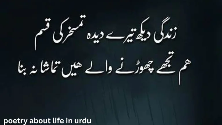 poetry about life in urdu