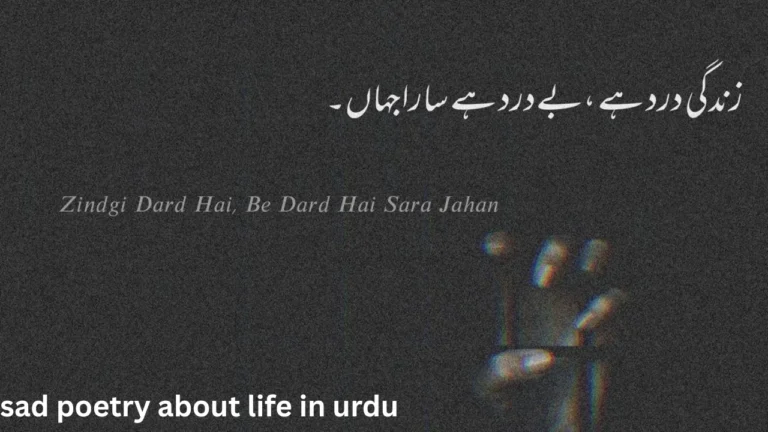 sad poetry about life in urdu