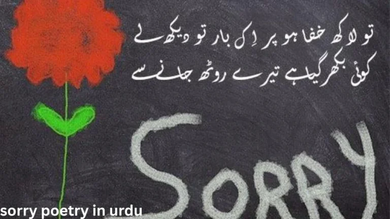 sorry poetry in urdu