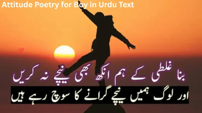 Attitude Poetry for Boy in Urdu Text
