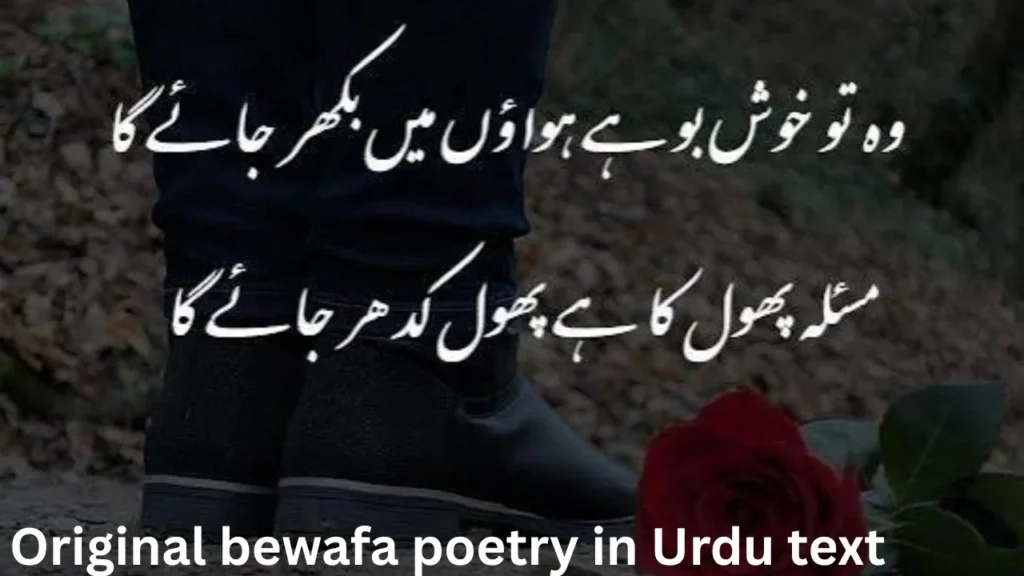 Original bewafa poetry in Urdu text