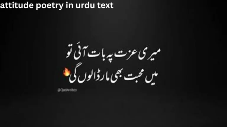 attitude poetry in urdu text